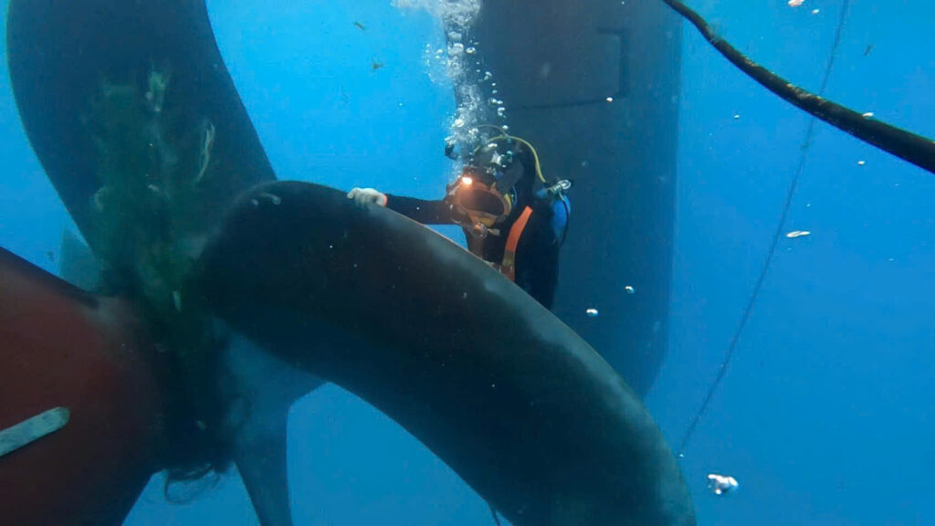 Propeller before Propeller Polishing and In-water Survey at Phu My Port.